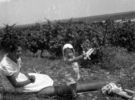 משפחה 1935-1965 (107)