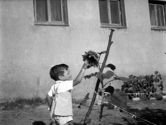 משפחה 1935-1965 (25)