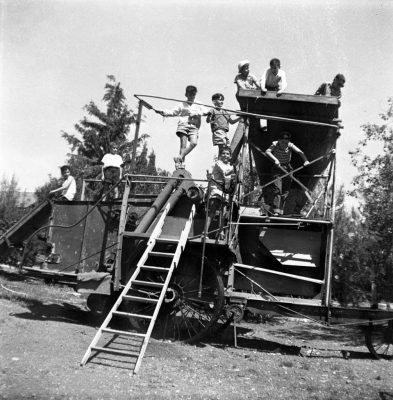 משפחה 1935-1965 (71)