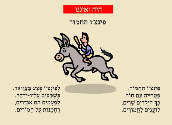 החמור