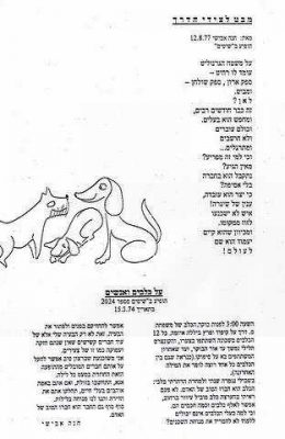 חנה אבישי מסמדר 059