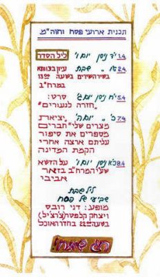 חנה אבישי מסמדר 075