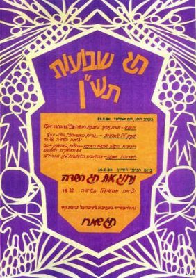 חנה אבישי מסמדר 084