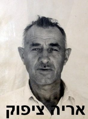 ציפוק אריה