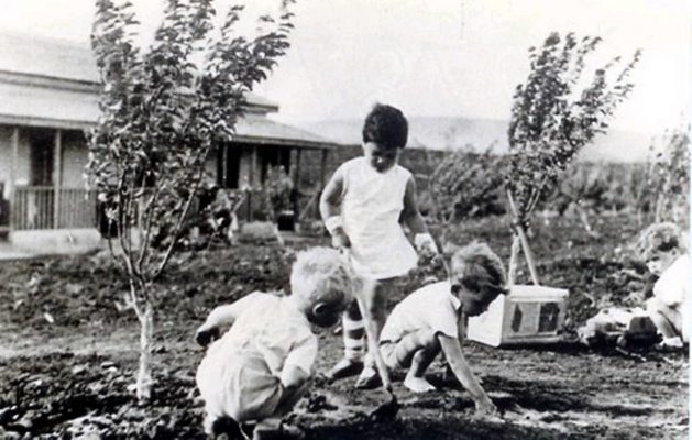 נטיעה בגן ב