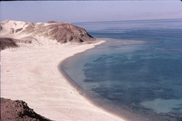 ראס בורקה ושוניות לאורך החוף. 1969