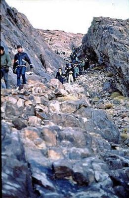 ירידה במדרגות מהר משה 1972