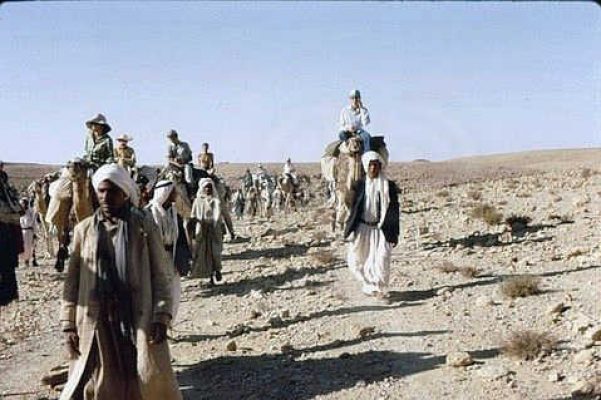 על הגמלים בתיהה. 1972