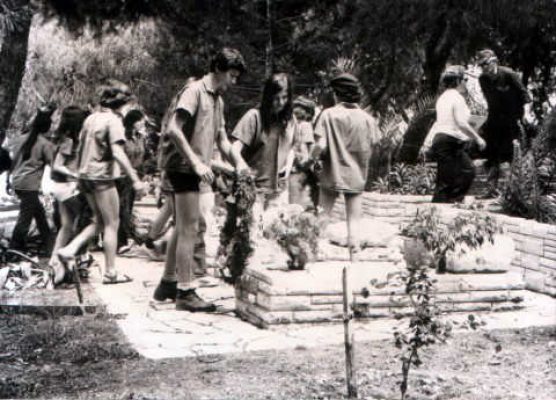 יום הזיכרון-הנחת זרים 1974-1