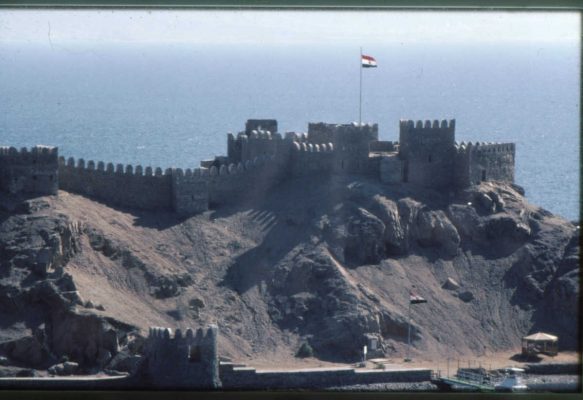 הדגל המצרי על אי האלמוגים. 1988