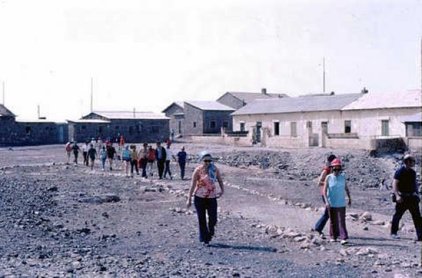 טיול המשק לסיני. אום בוגמה 1973