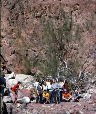 המורינגה הרתמית. כיתות נחשון ושיבלים. 1975