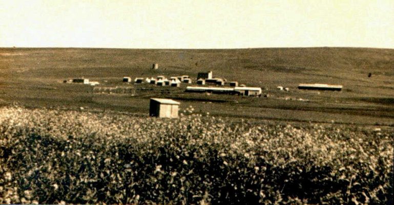 בית השיטה 1936