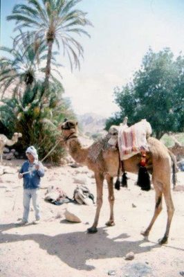 שבו וגמלו. ואדי טלאח' 1989