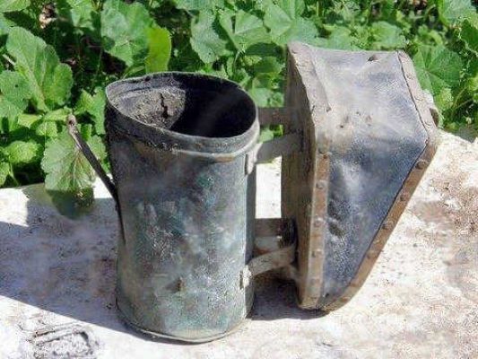 עם זה יוליוס היה מסניף את הדבורים והן גמלו לו בעקיצות