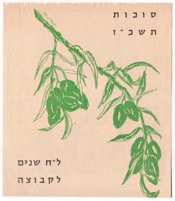 ענף זית 1964