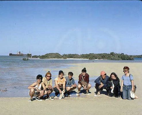 כיתת חצב על רקע מנגרובות. נבק 1971