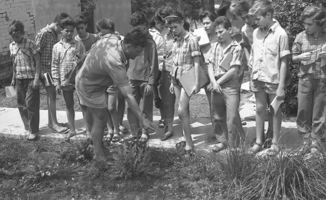 שעור טבע לקבוצת אבוקה