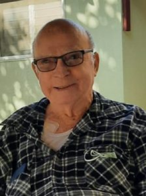 מלר יהודה