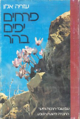 פרחים יפים בהר 1980