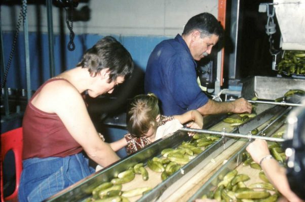 גיוס לזיתיה 1979 דרור טל ושולה שרגא