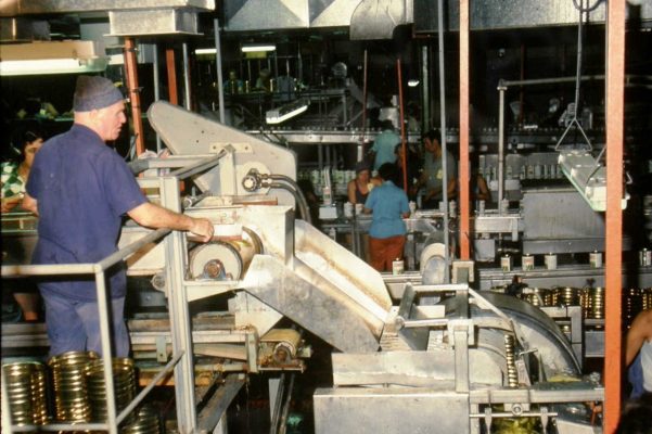 גיוס לזיתיה 1979 יהודה הדר