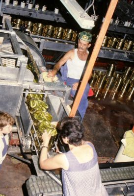 גיוס לזיתיה 1979 יוקי אהוביה