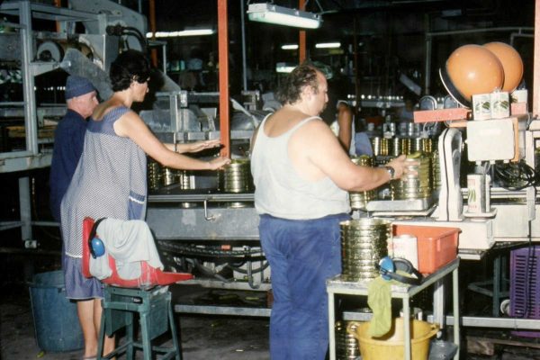 גיוס לזיתיה 1979 לייזר הדס ויהודה הדר