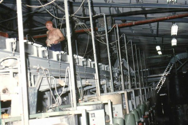 גיוס לזיתיה 1979 עדין שולמי