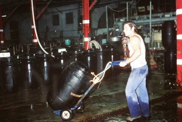 גיוס לזיתיה 1979 שלמה גפני