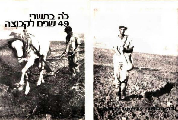 שיטים לחג המשק 1977