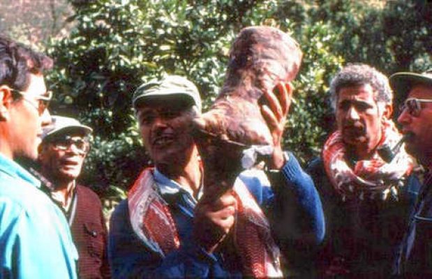 שבו מראה לטיילי בית השיטה נאד תמרים.1979