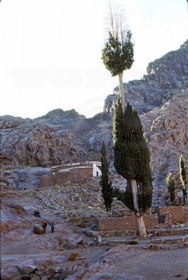 כנסית מריה איקונומוס בהר משה 1971