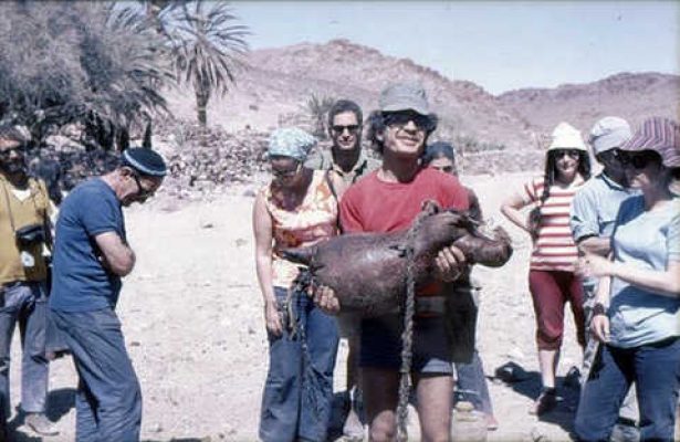 טיול משק. עין אל אחדר 1973