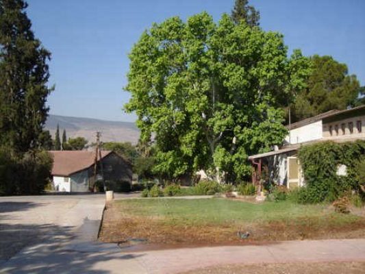 מדורון פורת2005-2008 001