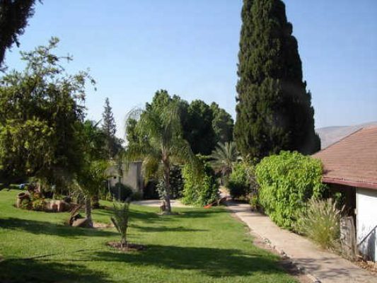 מדורון פורת2005-2008 003