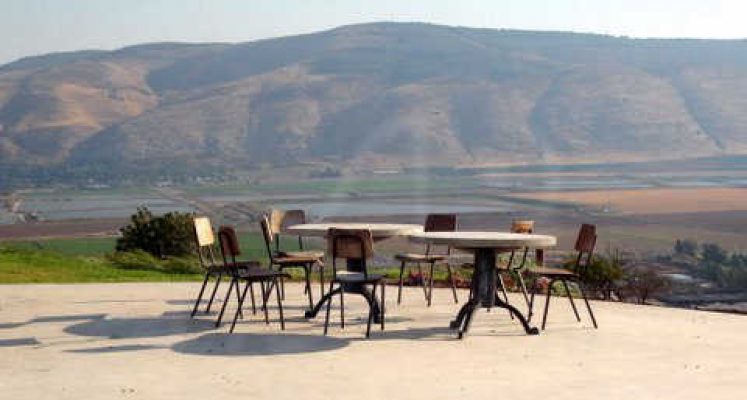 מדורון פורת2005-2008 009