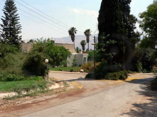 מדורון פורת2005-2008 012