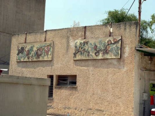 מדורון פורת2005-2008 017