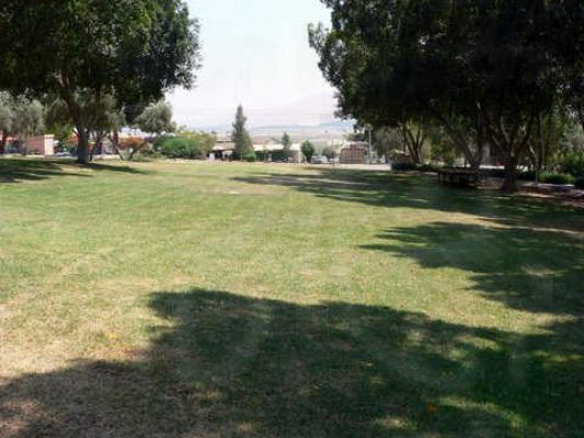 מדורון פורת2005-2008 018