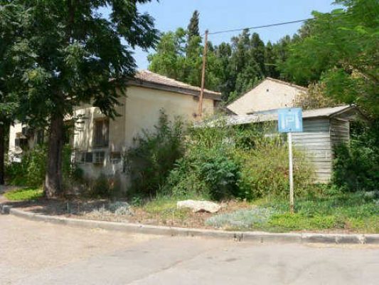 מדורון פורת2005-2008 021