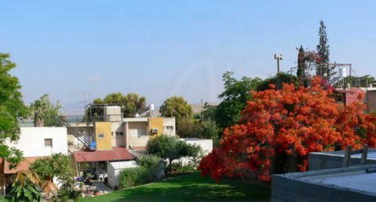 מדורון פורת2005-2008 032