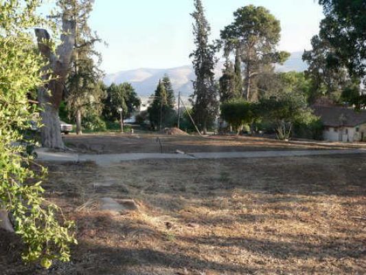 מדורון פורת2005-2008 041