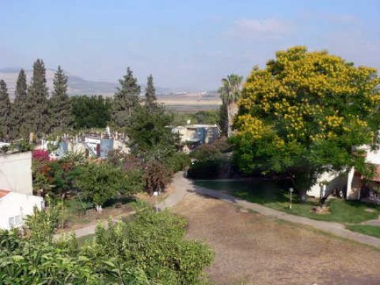 מדורון פורת2005-2008 043