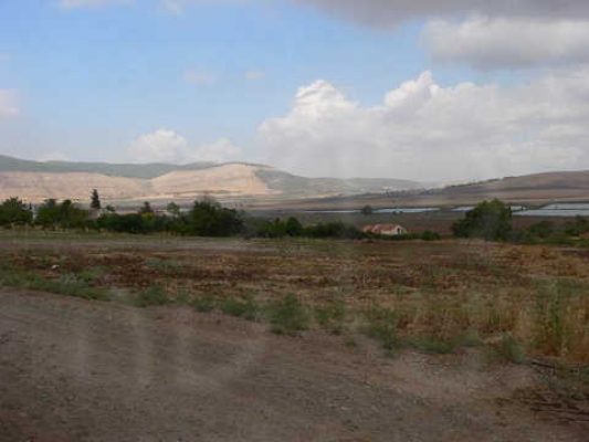 מדורון פורת2005-2008 048