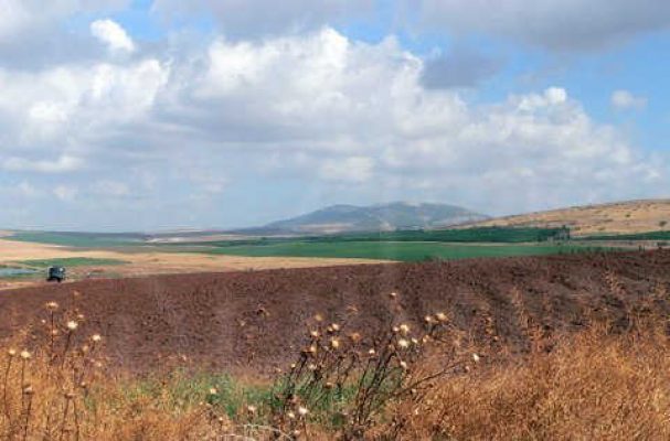 מדורון פורת2005-2008 052