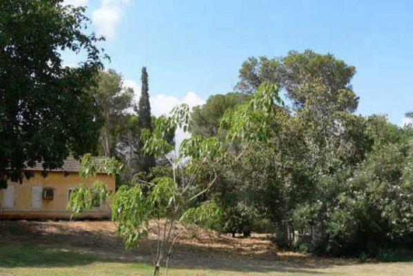 מדורון פורת2005-2008 054