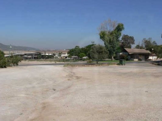 מדורון פורת2005-2008 065