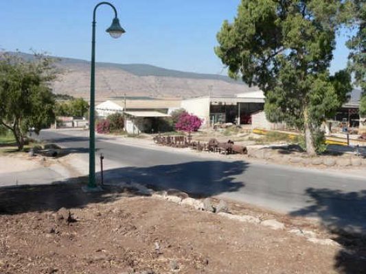 מדורון פורת2005-2008 069