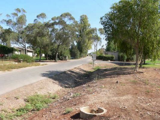 מדורון פורת2005-2008 083